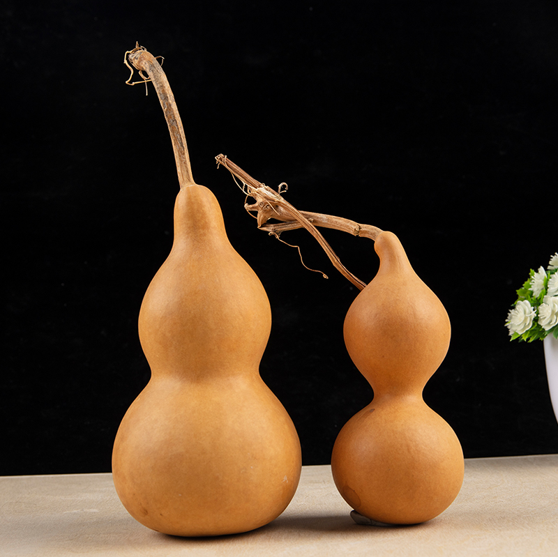 Longevity Health & Wellness Hotel Adults Only - 1 szt. Naturalny tykwa w kształcie