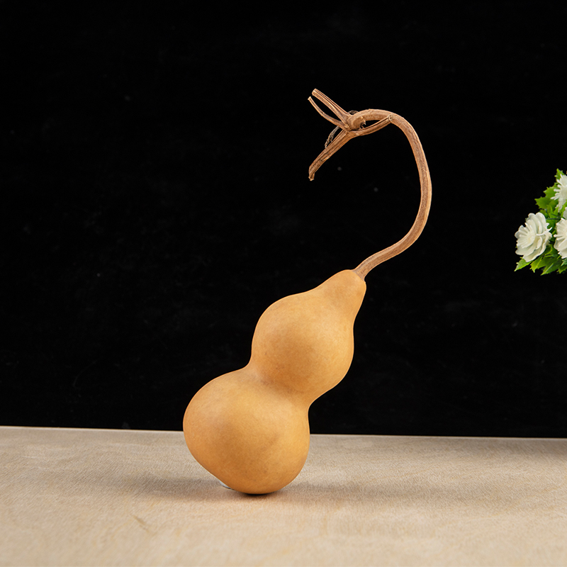 1 szt. Naturalny tykwa w kszta – Longevity Health & Wellness Hotel Adults Only recenzja i cena